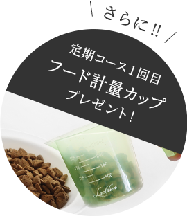 さらに！定期コース1回目、フードスクーププレゼント